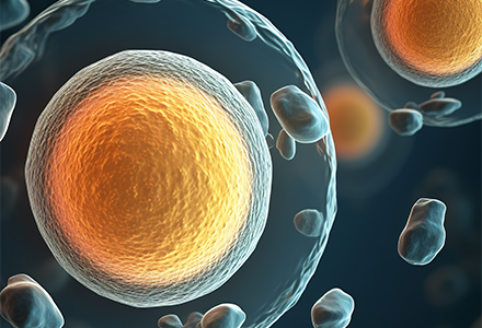 吉林省百利生物科技有限公司