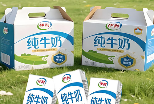 冰链智擎·鲜行未来：吉林省优正科技深度赋能长春伊利冷冻食品有限责任公司全链路智能系统开发全景纪实